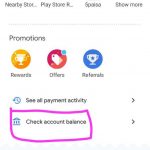 check-account-balance-using-google-pay