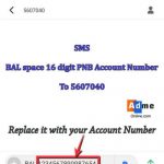 punjab-national-bank-sms-balance-check