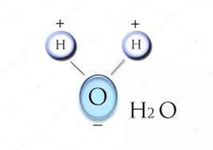 h2o is liquid due to